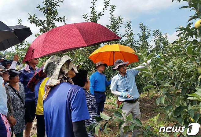 전북 무주군에서 운영하는 반딧불농업대학 학생들이 사과에 대한 현장교육을 받고 있다./뉴스1