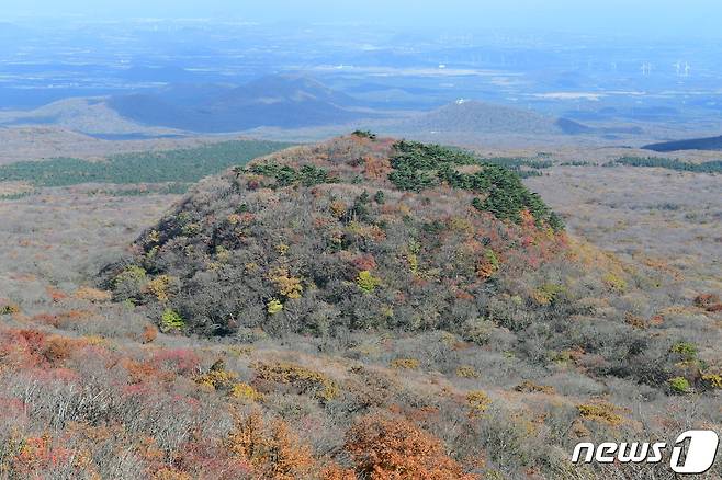 제주에사 가장 젊은 화산으로 보고된 돌오름 (제주도 제공) © 뉴스1