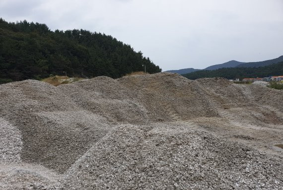 전남도는 해양수산부가 최근 '해양폐기물 및 해양오염퇴적물 관리법' 개정안을 마련하고 입법 예고해 앞으로 조개류 패각<사진>을 어장환경 개선제로 활용할 수 있게 됐다고 밝혔다.사진=전남도 제공