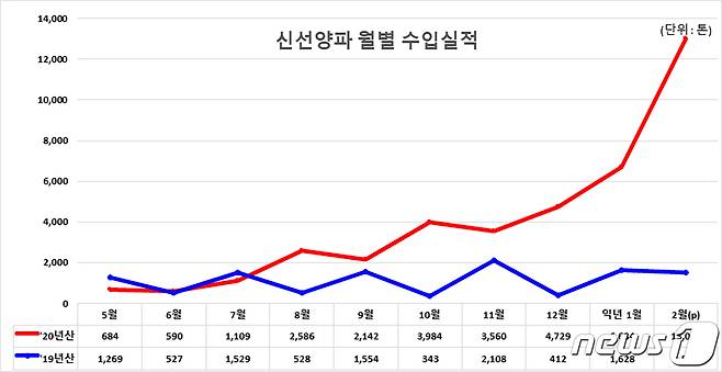 신선양파 월별 수입실적. © News1