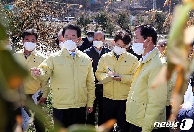 김영록 전라남도지사가 19일 오후 고흥군 풍양면 한동리 유자 한파 피해현장을 방문, 송귀근 고흥군수로부터 피해상황에 대해 설명을 듣고 있다. © News1