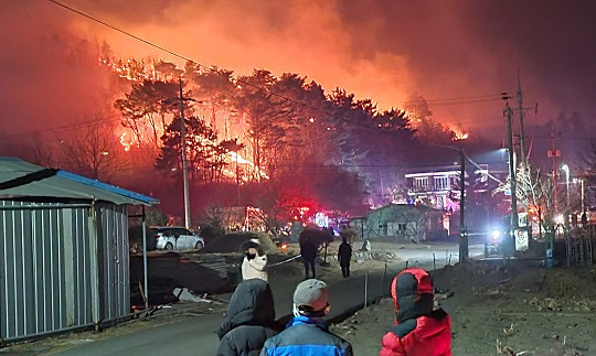 19일 강원 양양군 양양읍 사천리의 야산에서 화재 발생. 연합뉴스