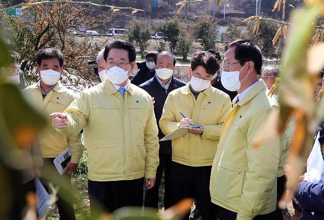 김영록 전라남도지사가 19일 오후 고흥군 풍양면 한동리 유자 한파 피해현장을 방문, 송귀근 고흥군수로부터 피해상황에 대해 설명을 듣고 있다. 전라남도 제공