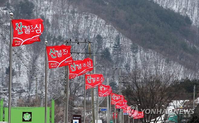 강풍에 나부끼는 '산불 조심' 깃발 [연합뉴스 자료사진]