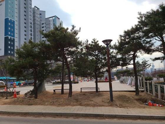 19일 오후 강원 춘천시 약사동 약사천 인도 주변에 나무들이 심겨져 있는 모습. 박진호 기자