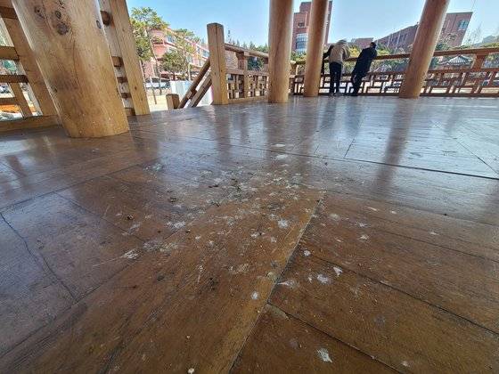 지난 19일 전북 전주시 금암동 전북대 건지광장 내 전통 누각 '문회루'. 바닥 곳곳에 비둘기 배설물이 가득하다. 전주=김준희 기자