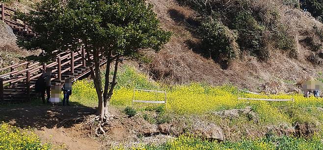 21일 제주도 서귀포시 색달동 ‘엉덩물계곡’ 출입 통제 구역에 관광객들이 드나들고 있다.