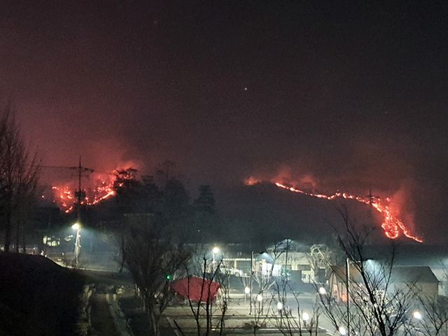 21일 경북 안동시 임동면 망천리 야산에서 불이 나 주변으로 번지고 있다. 연합