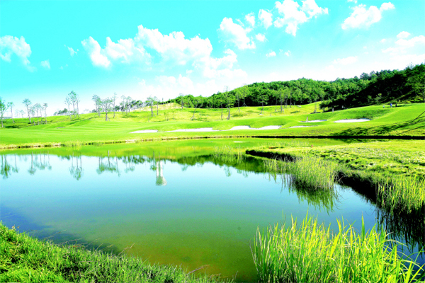 아름다운 풍경의 제주 골프장.