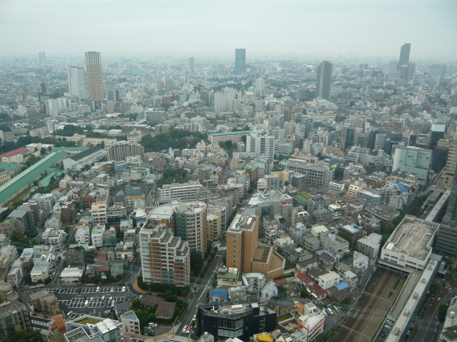 도쿄타워에서 찍은 일본 도심. [사진=전영수 교수]
