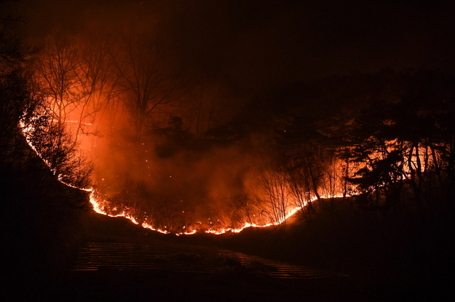 영주시 장수면 갈산리 야산에서 발생한 산불이 확산되고 있다. (사진=영주시 제공) *재판매 및 DB 금지