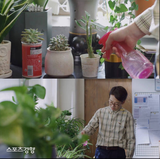 tvN ‘빈센조’ 4회 등장한 반려식물 이름들은 배우 송중기 전작의 캐릭터명이었다.