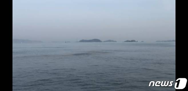 충남 보령시 신보령화력 주변 해양에서 오염사고가 발생했다.(독자 제공)© 뉴스1