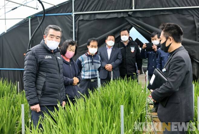 김동일 보령시장이 주산면 화훼 재배농가를 방문해 코로나19로 피해를 입은 농민을 위로했다.