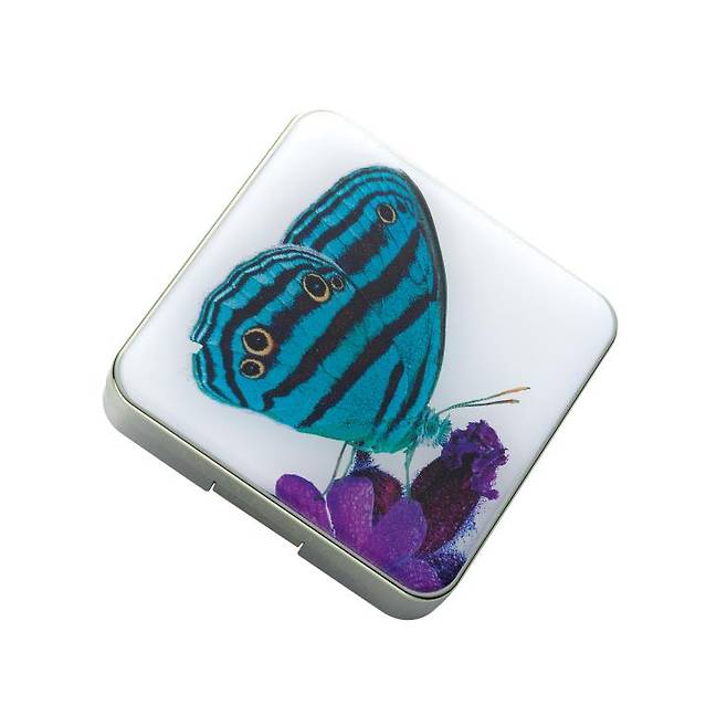 버터플라이 아이 콰르텟, 10만5천원, Chantecaille.