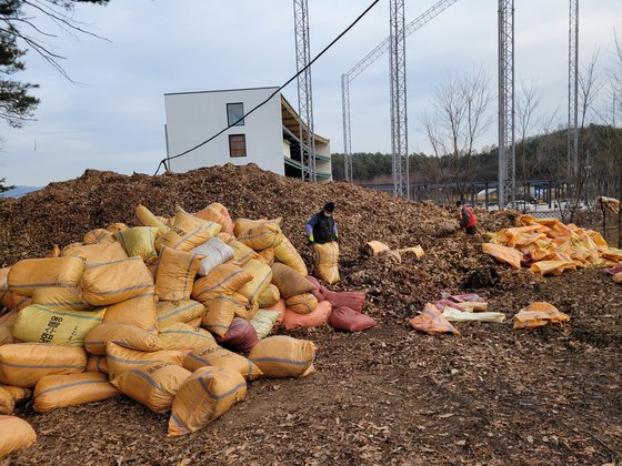 충북 제천시 신월동에 있는 제천산림조합 부지 내 수매장에 낙엽이 쌓여있다. [사진 제천시]