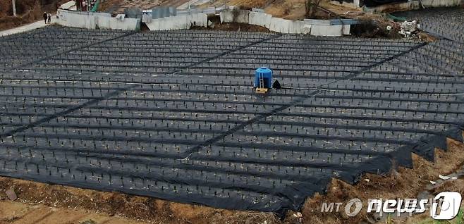 (시흥=뉴스1) 구윤성 기자 = 한국토지주택공사(LH) 일부 직원들의 투기 의혹이 제기된 지역(시흥시 과림동)의 토지거래 건수가 정부의 부동산대책 발표 전에 급증한 것으로 나타났다.