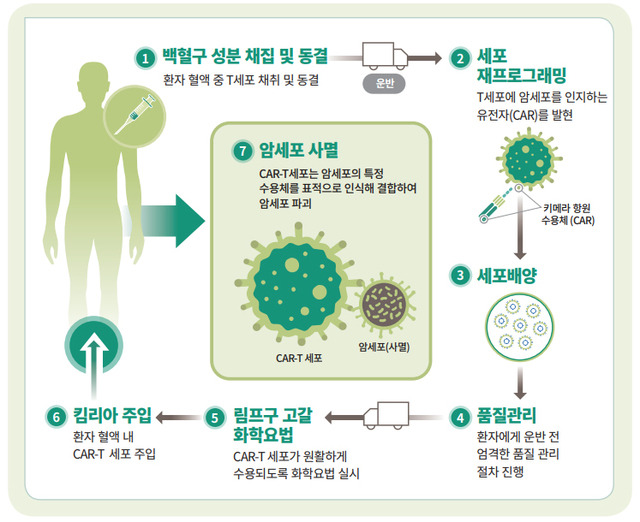 '킴리아주' 작용 기전(사진=한국노바티스 제공) *재판매 및 DB 금지