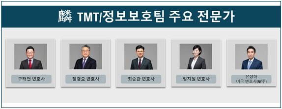 법무법인 린 TMT·정보보호팀 주요 전문가. 법무법인 린 제공