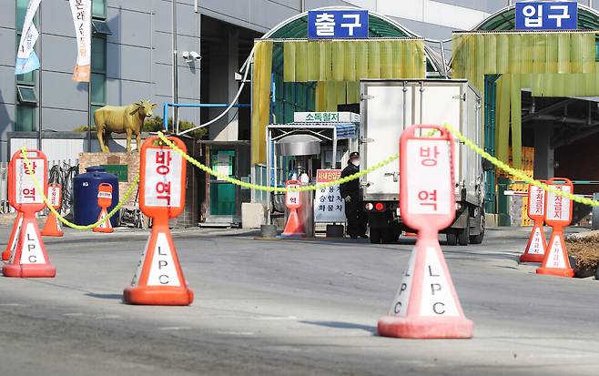 직원 50명이 코로나19 확진 판정을 받은 경기도 안성시의 한 축산물공판장 출입이 8일 오후 통제되고 있다. 연합뉴스