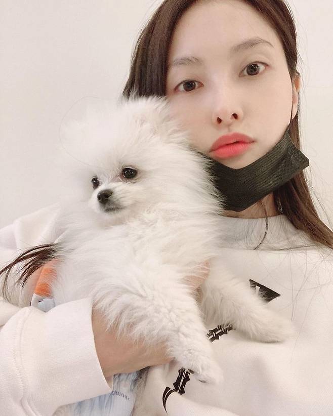 KARA Park Gyuri reveals his routine with PetOn March 8, Park Gyuri posted a photo on his personal SNS with an article entitled I got sick taking pictures only when I had a poron.Park Gyuri, who is in the public photo, takes a self-portrait with Pet in his arms. Park Gyuri, who wears a mask, boasts a pure goddess beauty even though she is a stranger.Meanwhile, Park Gyuri made his debut as KARA in 2007 and appeared in a number of works such as Jang Young-sil, How to break up, Bling Bling, Each Gourmet.