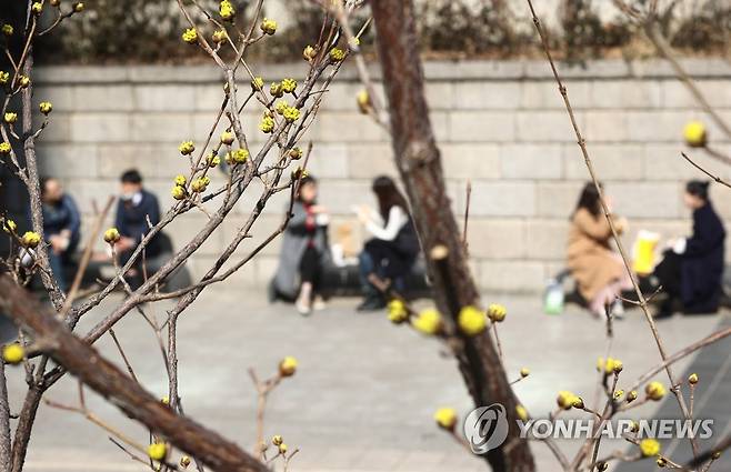 포근한 날엔 야외 점심 (서울=연합뉴스) 신준희 기자 = 포근한 봄날씨가 찾아온 5일 점심시간 청계천을 찾은 직장인들이 물가에서 점심식사를 하고 있다. 2021.3.5 hama@yna.co.kr