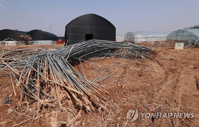 광명 투기 의혹 공무원 취득 토지 (광명=연합뉴스) 홍해인 기자 = 10일 경기 광명시 한 공무원이 매입한 노온사동의 토지 모습. 지은 지 얼마 되지 않은 것으로 보이는 비닐하우스가 보인다. 이곳은 지난해 이 공무원이 밭 1천322㎡를 취득한 곳이다. 2021.3.10 hihong@yna.co.kr