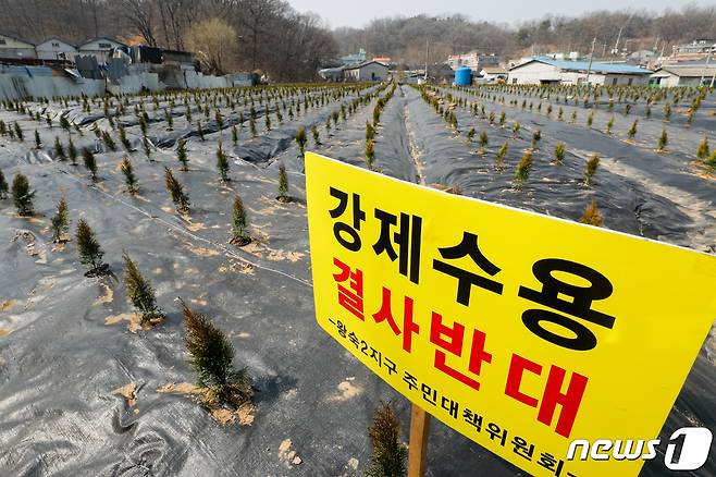 10일 한국토지주택공사(LH) 직원들이 사들인 경기 시흥 과림동 소재 농지에 보상 목적의 묘목이 심어져 있다. 이곳에서 공공주택지구 전국연대대책협의회(공전협)는 긴급 기자회견을 열고 LH 직원들의 3기 신도시 토지 투기를 규탄하며 신도시 백지화와 공공주택특별법 폐지를 촉구했다. 2021.3.10/뉴스1 © News1 안은나 기자