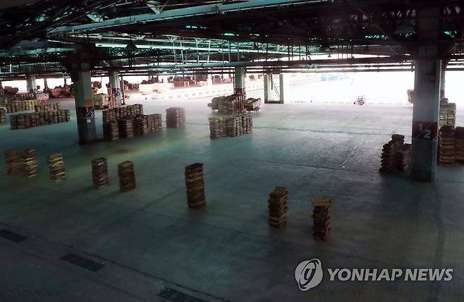 부산 공동어시장 집단감염 확산…어류 경매 차질 [연합뉴스 자료사진]