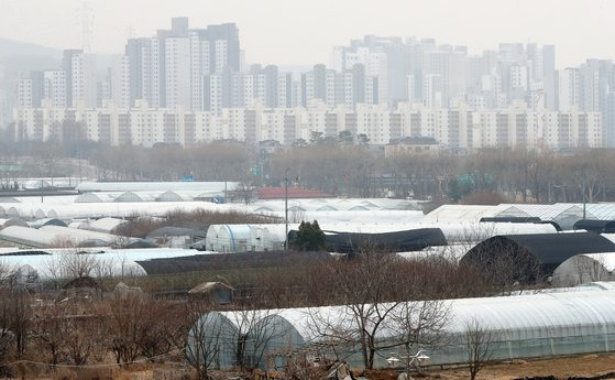 한국토지주택공사 직원들이 신도시 땅 투기를 한 이유로 파격적인 보상 혜택이 지목되고 있다. 사진은 광명시흥 신도시 예정지에 이어 LH 직원 투기 의혹이 추가로 확인된 과천시 과천지구. 뉴시스