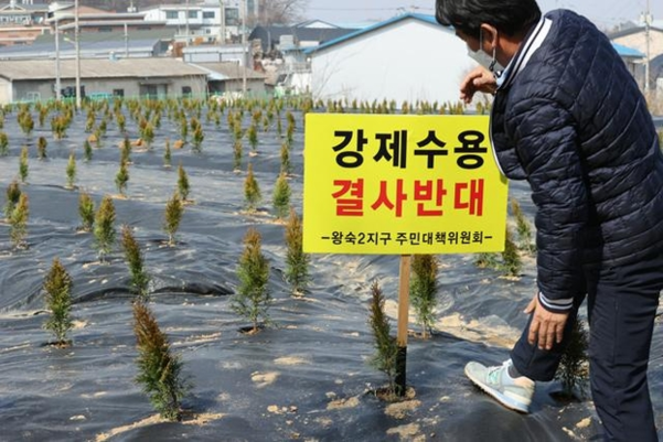 10일 오후 경기 시흥시 과림동의 LH 직원 투기 의혹 토지에서 이날 공공주택지구 전국연대 대책협의회의 LH공사 규탄 기자회견 참가자가 팻말을 나무 묘목 앞에 세우고 있다. /연합뉴스