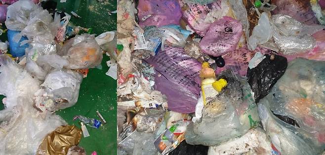 일반 비닐봉지에 담긴 쓰레기와 페트병들 [독자 제공. 재판매 및 DB금지]