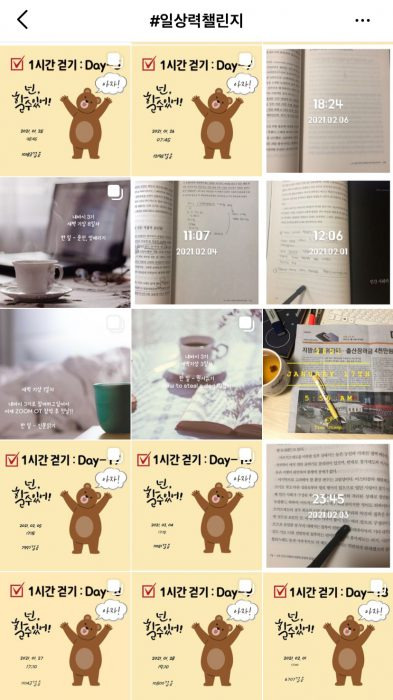소셜미디어에 '일상력챌린지'를 검색한 화면.(사진=인스타그램 캡처)