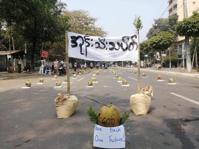 18일 미얀 양곤 도심에 등장한 코코넛 무인 시위. SNS 캡처