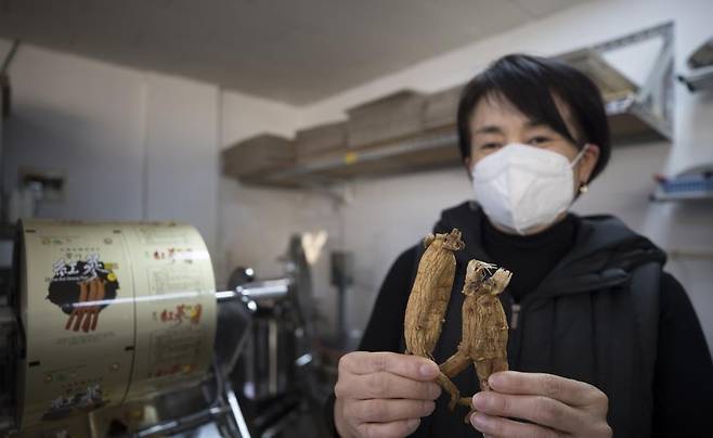 인삼건강원 주인이 작업 도중 홍삼을 보여주고 있다. [사진/성연재 기자]