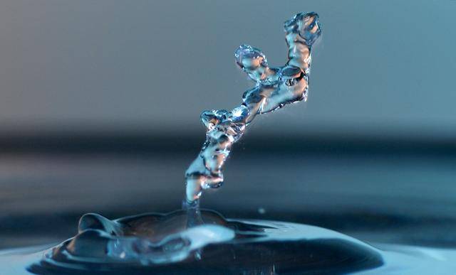 물방울이 또 다른 물 표면과 부딪히면서 거실에 놓인 화분 속 '분재' 같은 형태가 만들어졌다. 서재훈 기자