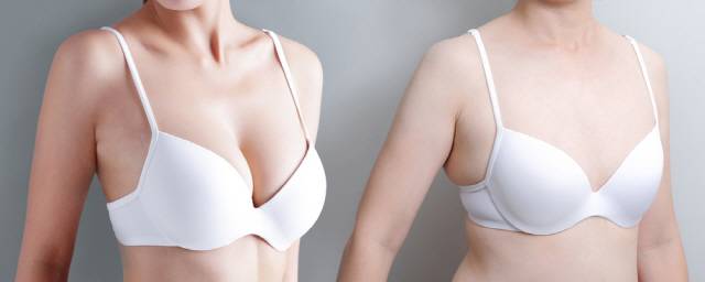 클립아트코리아