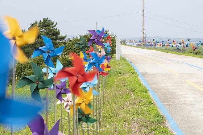 성당포구 바람개비길.사진=익산시