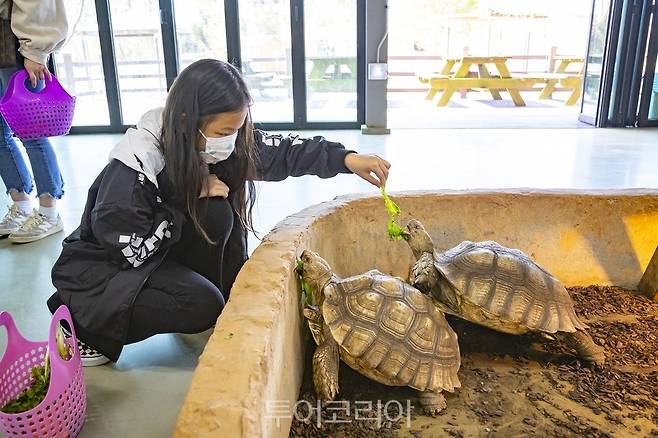 동물농장 액션하우스 동물 교감 체험.사진=익산시