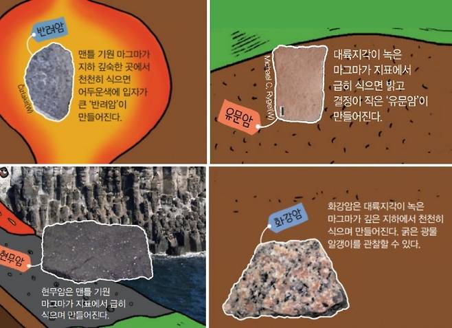 (왼쪽부터 시계방향으로) 반려암, 유문암, 현무암, 화강암