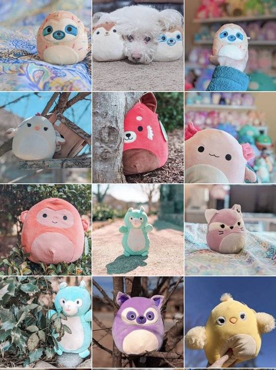 미 대학생 레베카 브라운(21)이 수집한 스퀴시 멜로 인형들. [사진=레베카 브라운@squishadorbs]