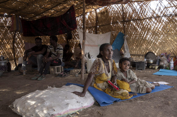수단 동부의 임시 피난처에 머무르고 있는 티그라이 민간인 가족. AP 연합뉴스