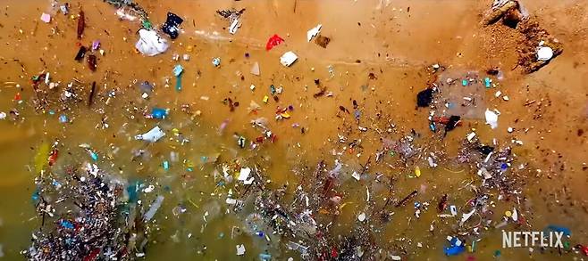 다큐 ‘씨스피라시’의 한 장면. 넷플릭스 제공