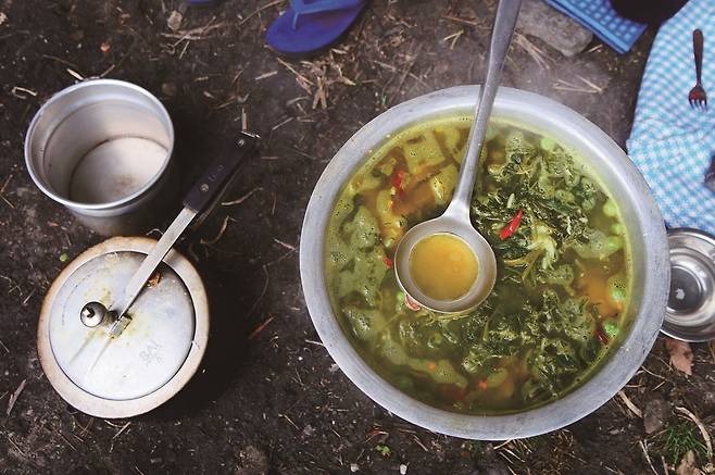 트레킹 중 뜯은 네팔 나물 ‘망가니’. 데쳐서 무치거나 국에 넣고 끓여 먹는다. 생으로 먹으면 미나리와 비슷하다. 가져간 고추장에 찍어 먹기도 했는데 맛있었다.