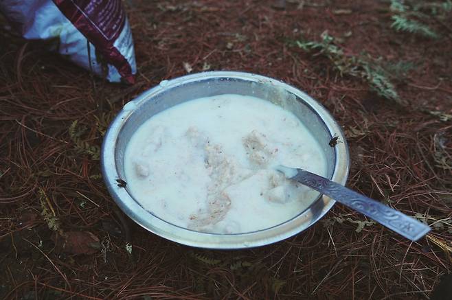 방목지에서 얻은 요구르트에 보릿가루를 섞으면 나름 영양식으로 먹을 만했다.