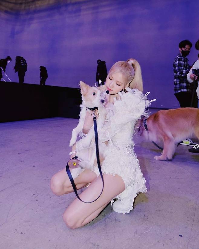 Group BLACKPINK Rosé has revealed a friendly recent situation with Pet Hank.Rosé posted several photos on his Instagram account on March 31, along with a puppy emoji.The released photo shows Rosé, who is waiting below before the stage, posing with his Pet Hank.The cute Tank and the appearance of Rosé holding him as if he were precious give him warmth.Earlier, Rosé adopted Tank, a dog that was abandoned through a shelter last December; Tank, including Rosé, is also receiving the love and attention of global fans.Meanwhile, Rosé appeared on Japanese terrestrial Nihon Terevi Similar Kiri earlier in the day, and also appeared on NBCs Kelly Clarkson Show on the 29th (local time) to decorate the talk show and stage.