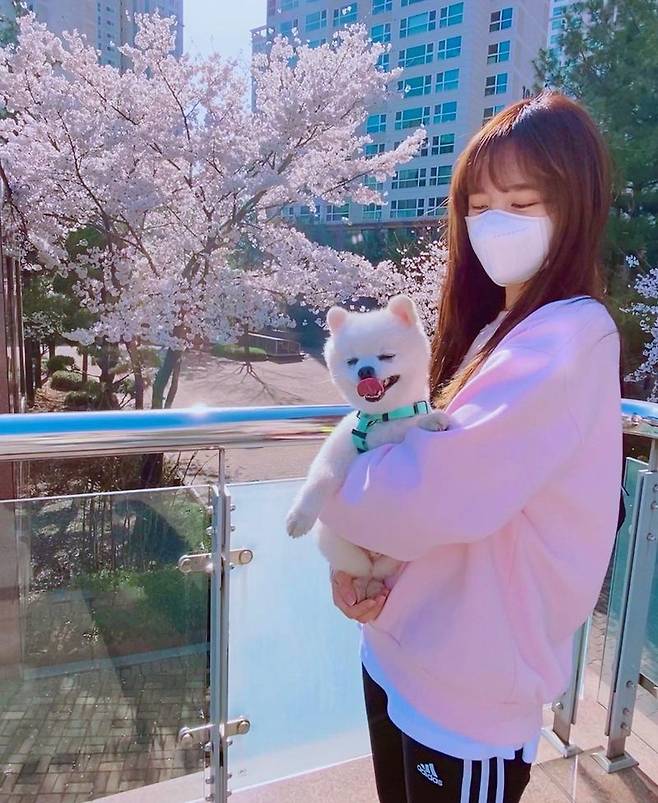 Actor Jin Se-yeon shares routine walking Pet and Cherry enjoyJin Se-yeon posted several photos on his personal instagram on April 2, along with an article entitled Its too pretty to take a walk these days.In the photo, Jin Se-yeon is posing with Pet Leo cherished.As if it were out for a walk, it is noticeable that the man to man is comfortable with a combination of leggings.The same pink man to man cody as cherry blossoms suggests the excitement of Jin Se-yeon dealing with cherry blossoms.The netizens who watched the photos responded such as Pink Pink, It is so beautiful and Cherry blossoms are only help.