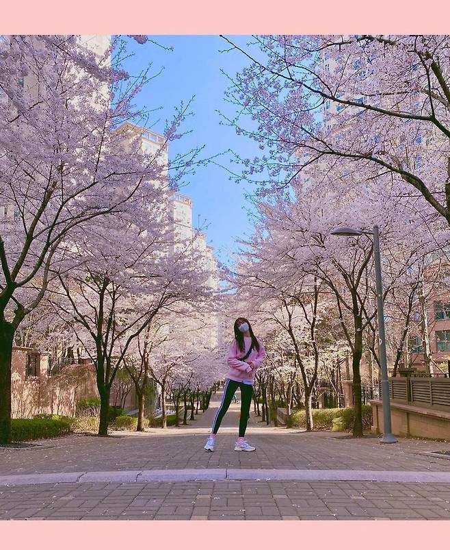 Actor Jin Se-yeon shares routine walking Pet and Cherry enjoyJin Se-yeon posted several photos on his personal instagram on April 2, along with an article entitled Its too pretty to take a walk these days.In the photo, Jin Se-yeon is posing with Pet Leo cherished.As if it were out for a walk, it is noticeable that the man to man is comfortable with a combination of leggings.The same pink man to man cody as cherry blossoms suggests the excitement of Jin Se-yeon dealing with cherry blossoms.The netizens who watched the photos responded such as Pink Pink, It is so beautiful and Cherry blossoms are only help.