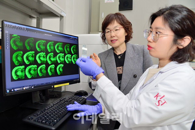 한국과학기술연구원 연구진이 치매 연구를 수행하고 있다.(사진=한국과학기술연구원)
