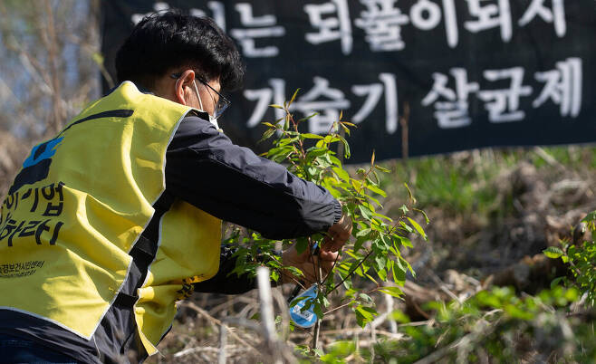 가습기살균제 피해자 유가족인 조병렬씨가 5일 오후 서울 마포구 노을공원 내 가습기살균제 피해자 ‘추모의 숲’에서 나무를 심고 이름표를 달고 있다. 공동취재사진